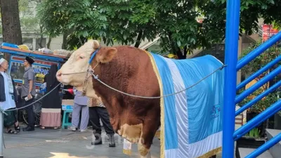 Gerindra: Sapi Kurban Presiden dari APBN Disebut Sah Secara Hukum