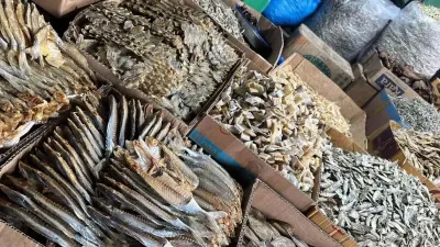 Ikan Asin dan Risiko Kanker Nasofaring, Ini Penjelasan Ahli