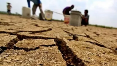 Kelaparan Global 1876-1878, Bencana El Nino yang Tewaskan Jutaan Orang