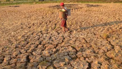 Kekeringan Meteorologis NTB Meluas, BMKG Tetapkan Status Siaga