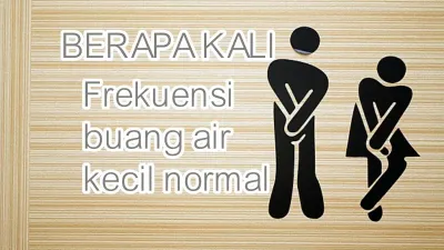 Frekuensi Buang Air Kecil Normal Berapa Kali Sehari? Ahli Urologi Sebut Angka Idealnya