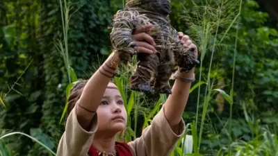 Kaylee Hottle Meninggal dalam Kecelakaan Mobil, Bintang Godzilla vs Kong Tutup Usia
