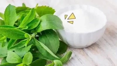 Stevia Nol Kalori Jadi Alternatif Gula, dr. Tirta Ingatkan Batas Konsumsi