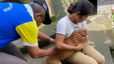 Gejala Rabies pada Manusia, Kenali Tahapan Setelah Gigitan