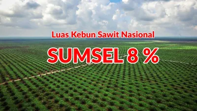 Sawit Sumsel 8 Persen, Kontribusi Dorong Hilirisasi Daerah