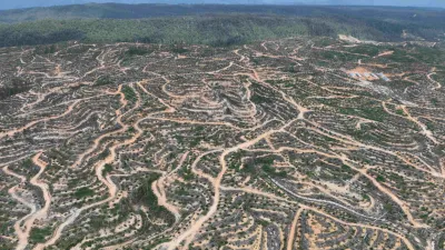 Deforestasi Kalimantan–Papua Menguat: Indonesia Hadapi Siklus Banjir Baru?