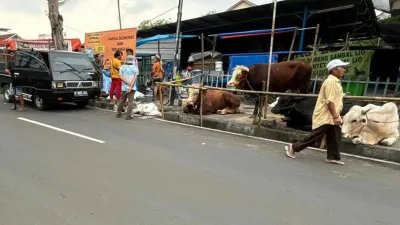 Pedagang Hewan Kurban di Trotoar Akan Ditertibkan Satpol PP DKI