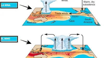 Apa Itu El Niño? Penyebab, Dampak, dan Cara Menghadapi Fenomena Iklim Ekstrem