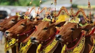 Idul Adha di Indonesia Punya Tradisi Unik dari Aceh hingga Bali
