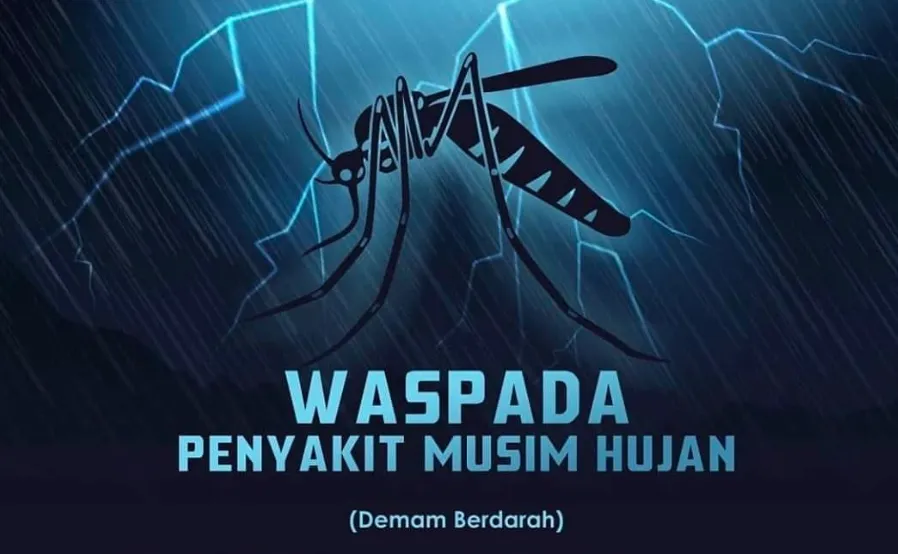 waspada DBD musim hujan