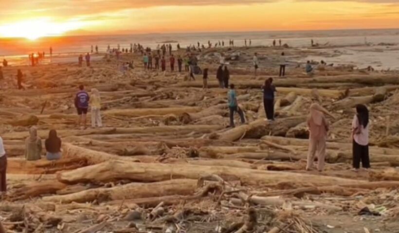Illegal Logging Penyebab Banjir Sumatera