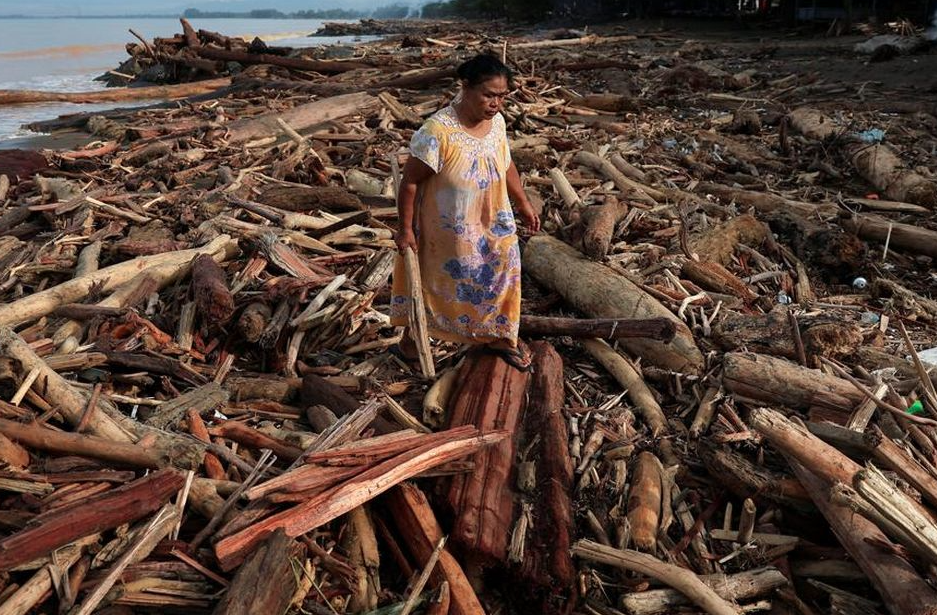 Ilegal Logging Penyebab Banjir Sumatera