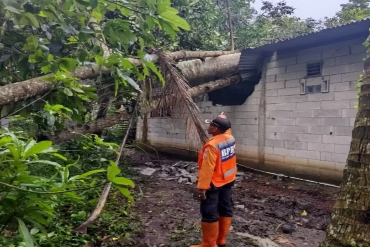 hujan angin ekstrem terjang Ciamis - bahasa kita