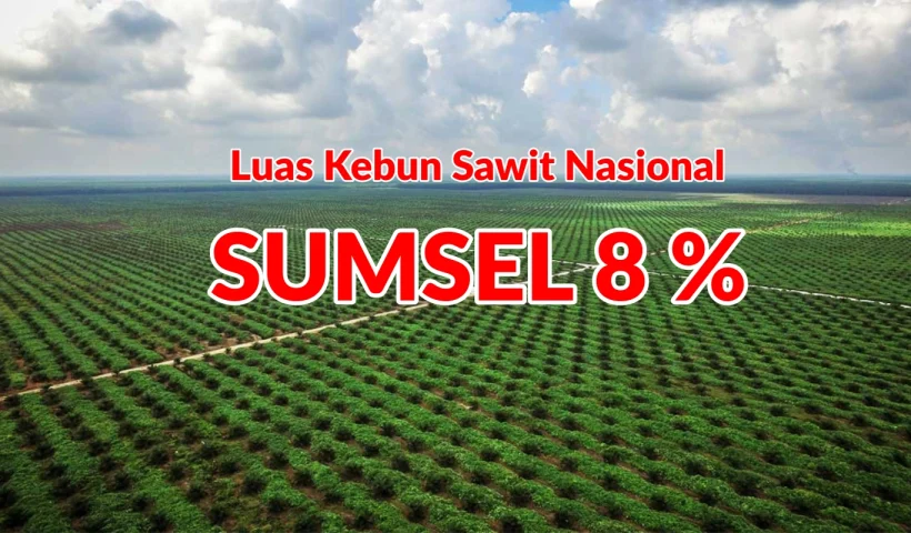 Luas Kebun Sawit Nasional