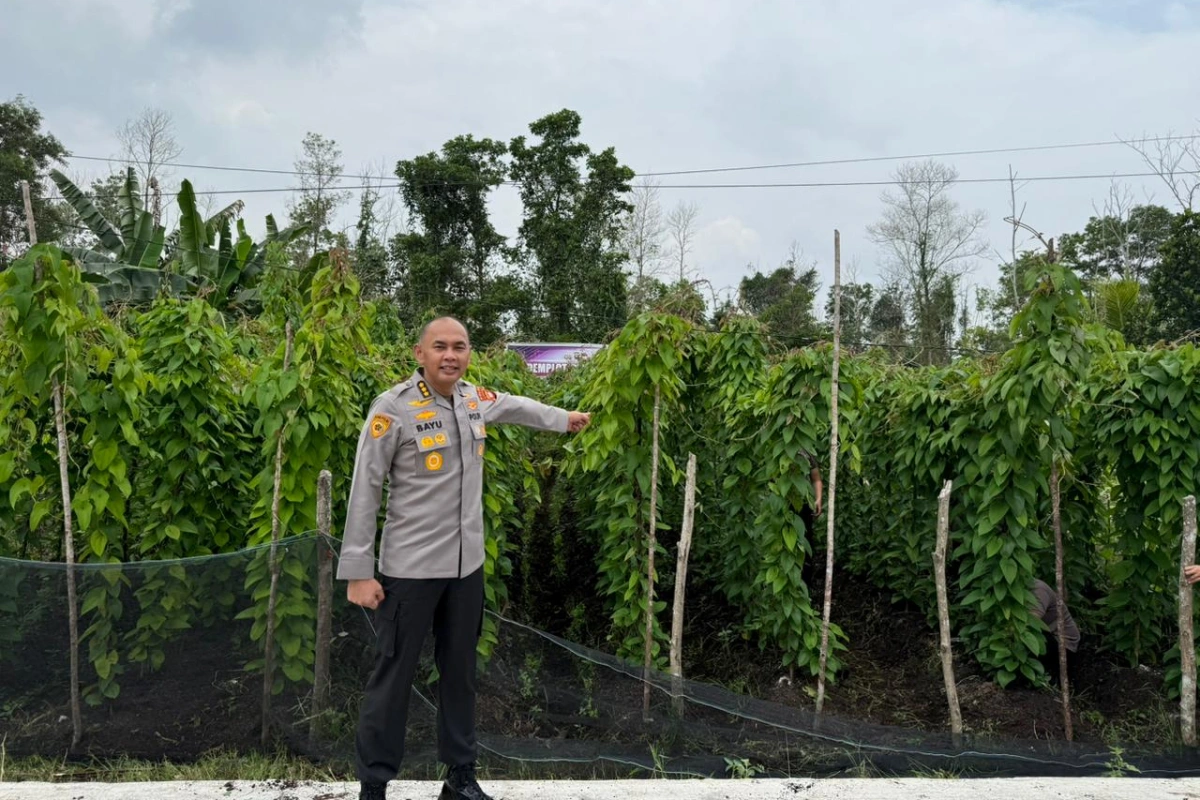Bayu Dewantoro