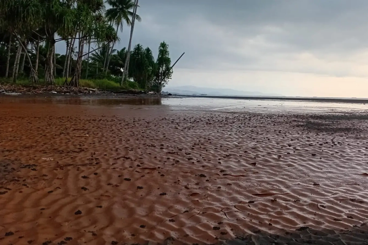pencemaran di pesisir pantai teluk buli oleh PT. FHT