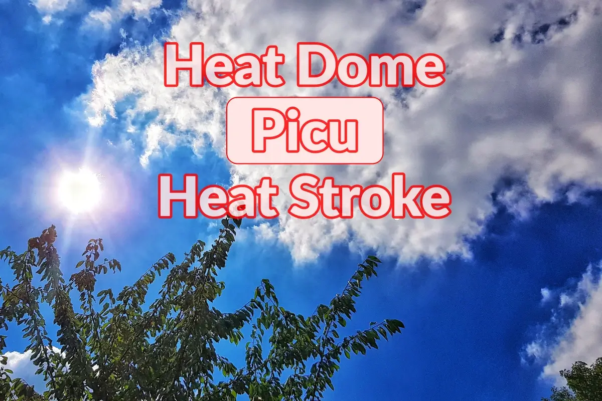 Heat Dome Picu Heat Stroke
