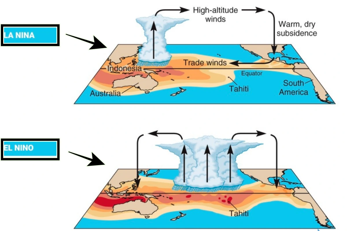 La Nina Dan El Nino