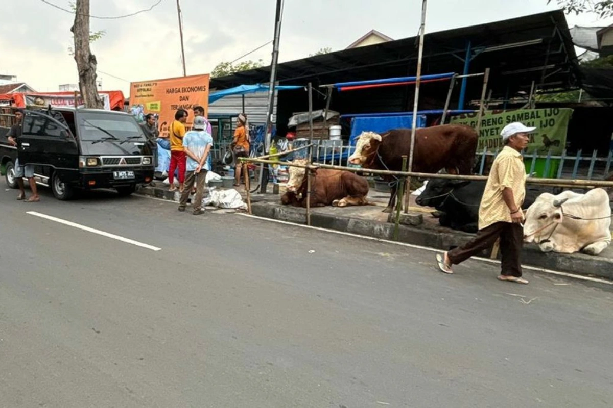 jual hewan kurban di trotoar