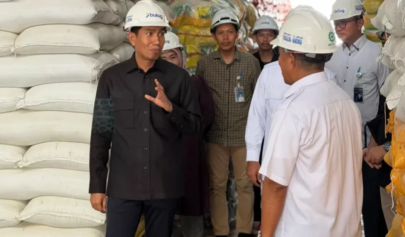 stok beras di gudang Bulog Kolaka