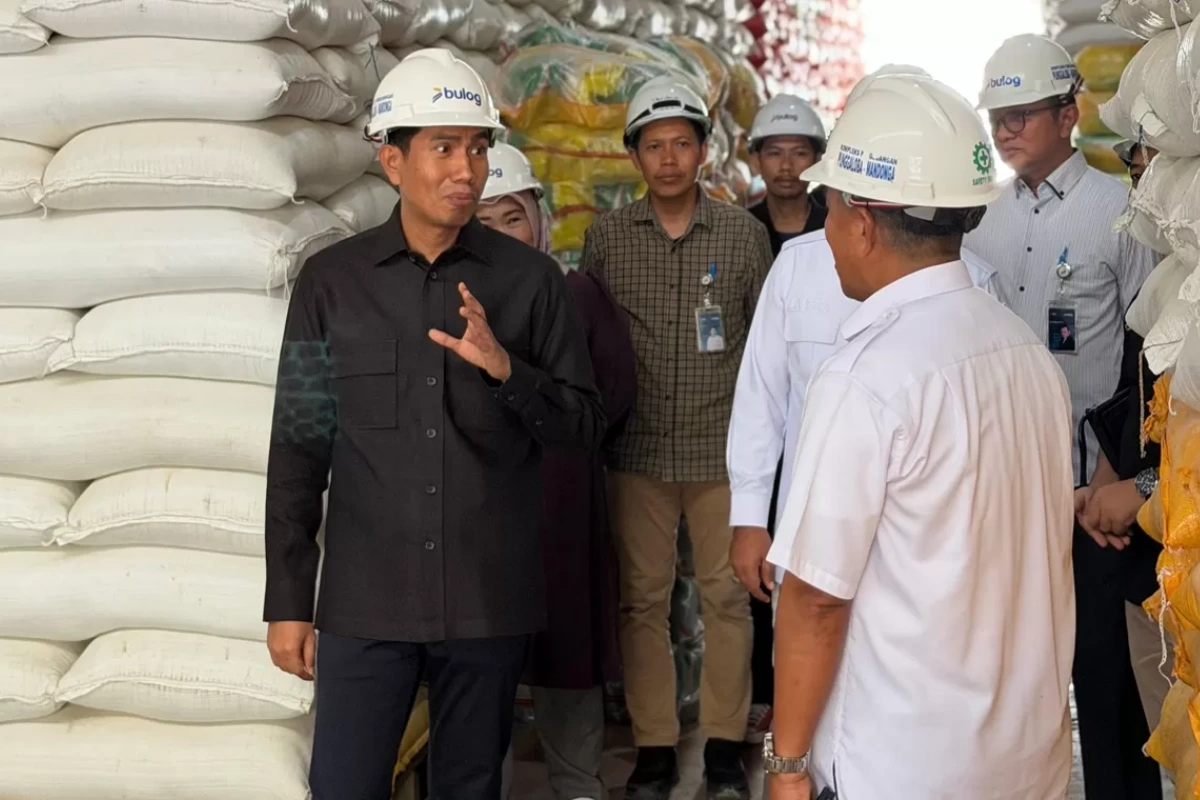 stok beras di gudang Bulog Kolaka