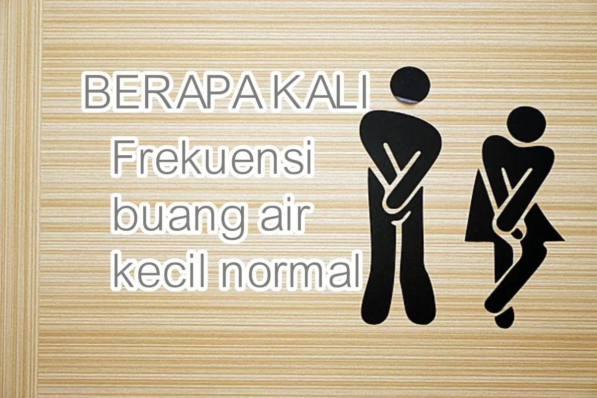 Frekuensi buang air kecil normal