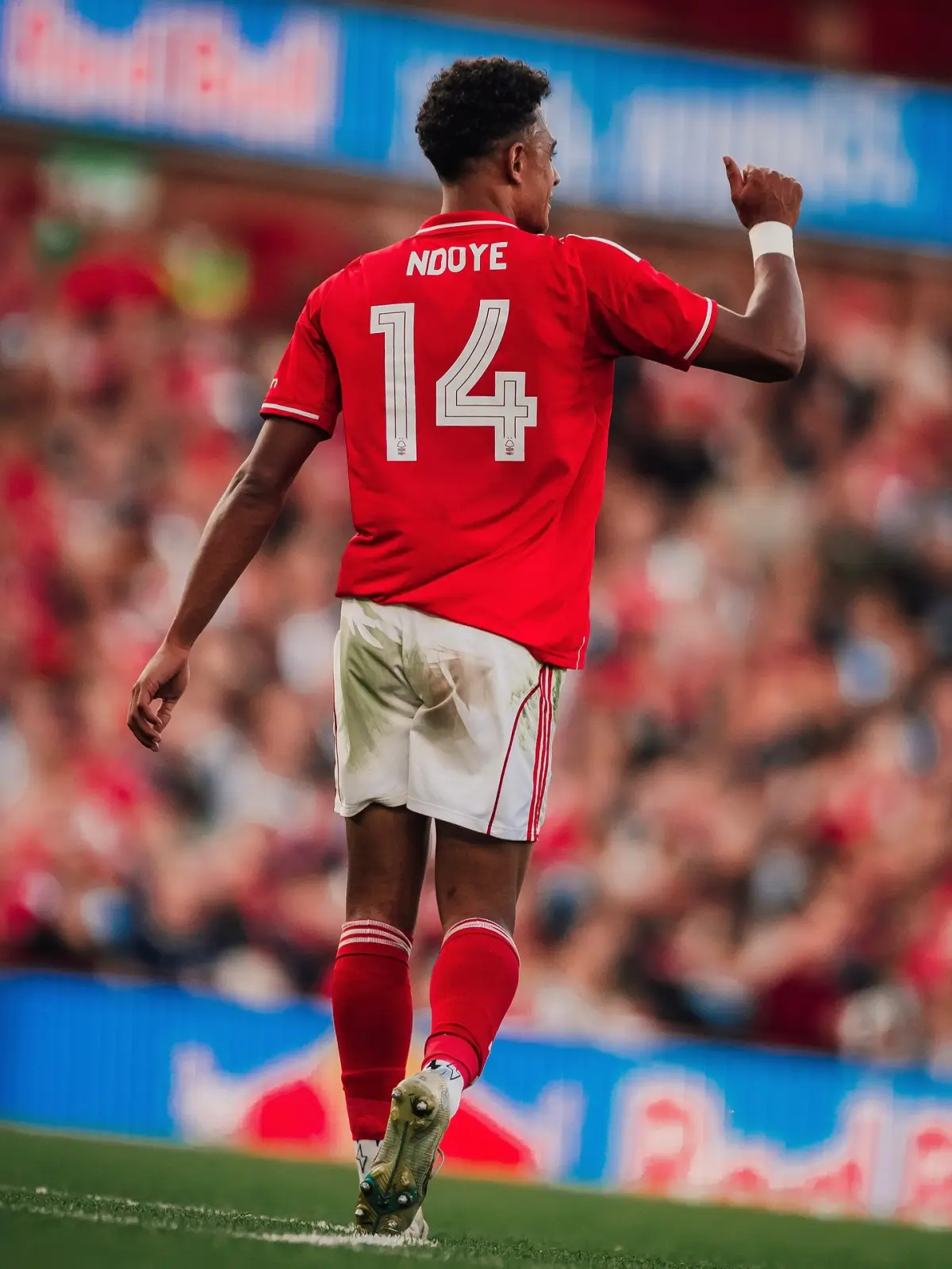 Dan Ndoye