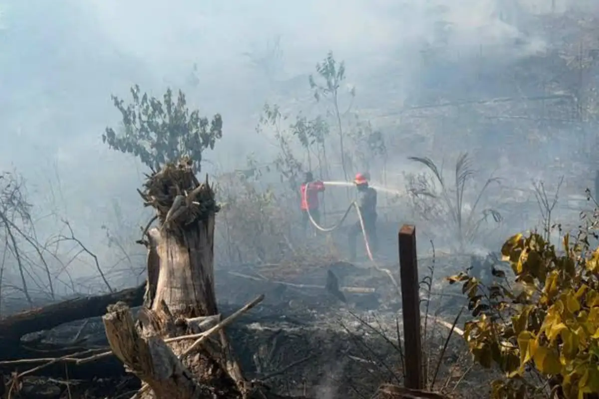 Karhutla Berau, bahasa kita
