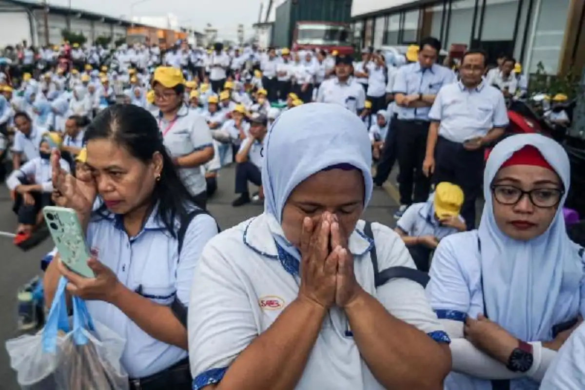 PHK Indonesia, bahasa kita