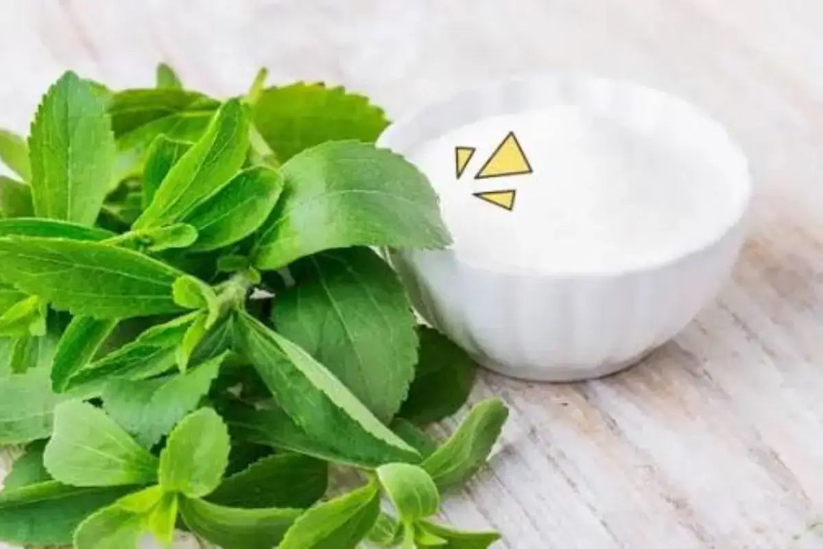 Stevia Nol Kalori