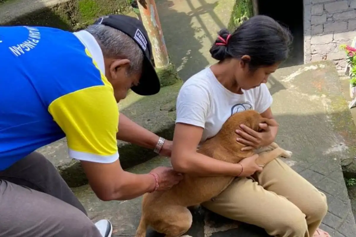 gejala rabies pada manusia, bahasa kita